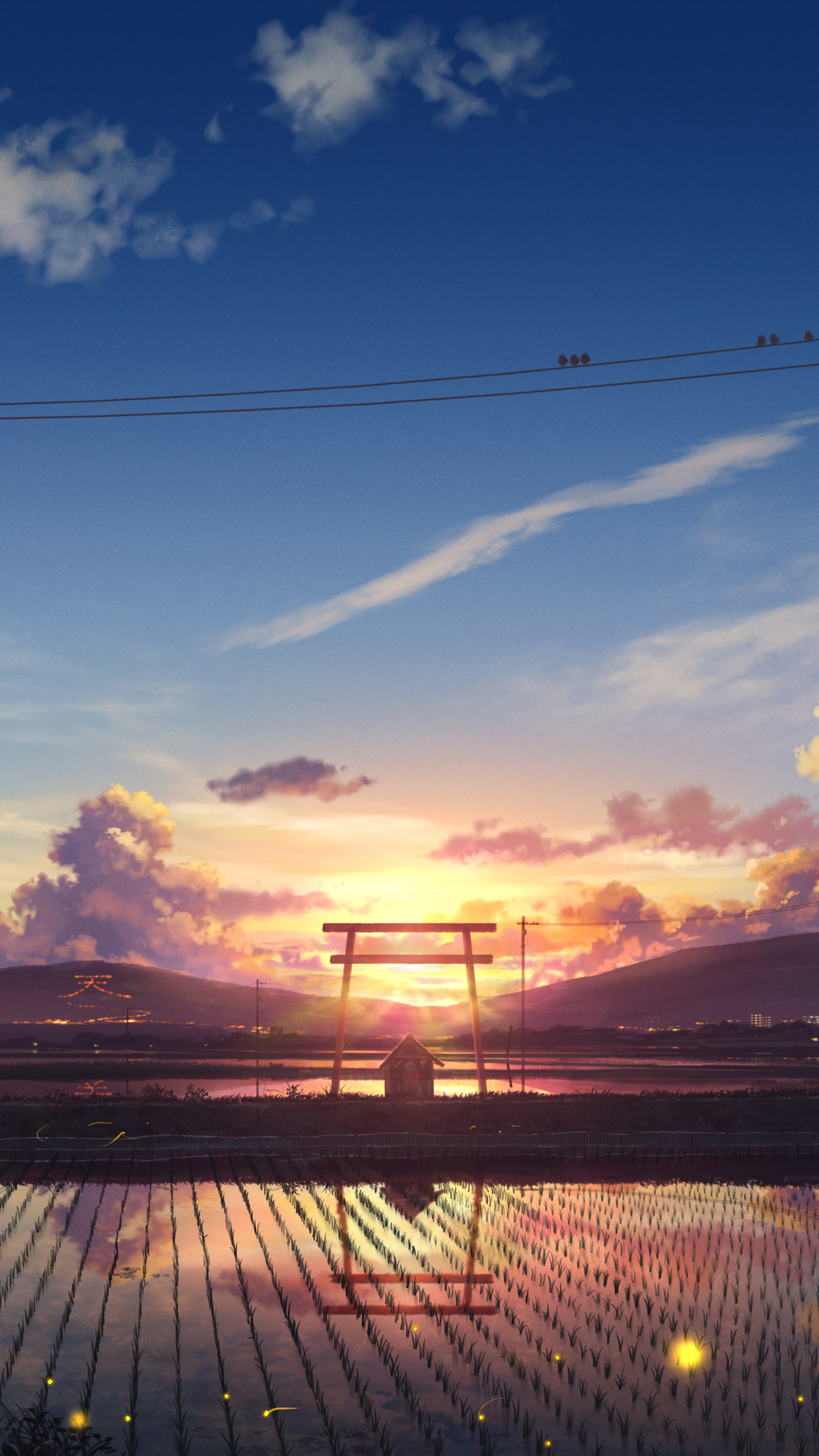 稻田上的唯美夕阳风景手机壁纸
