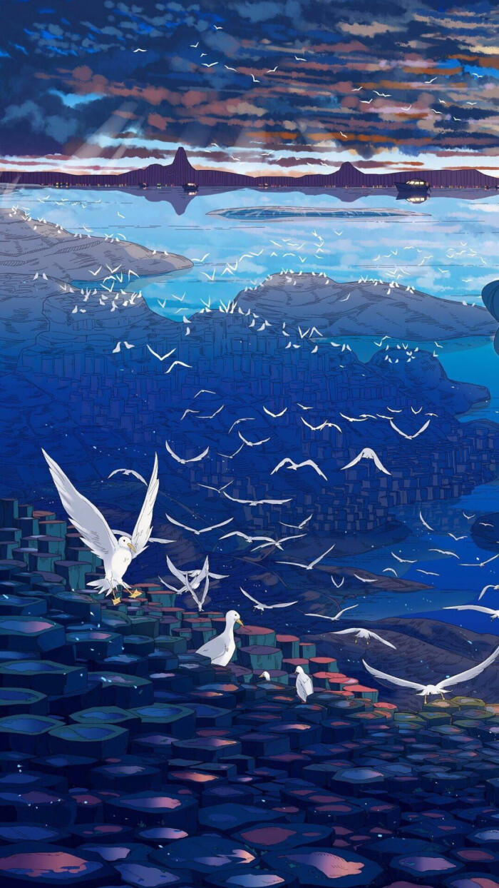 天空翱翔的海鸥创意手机壁纸