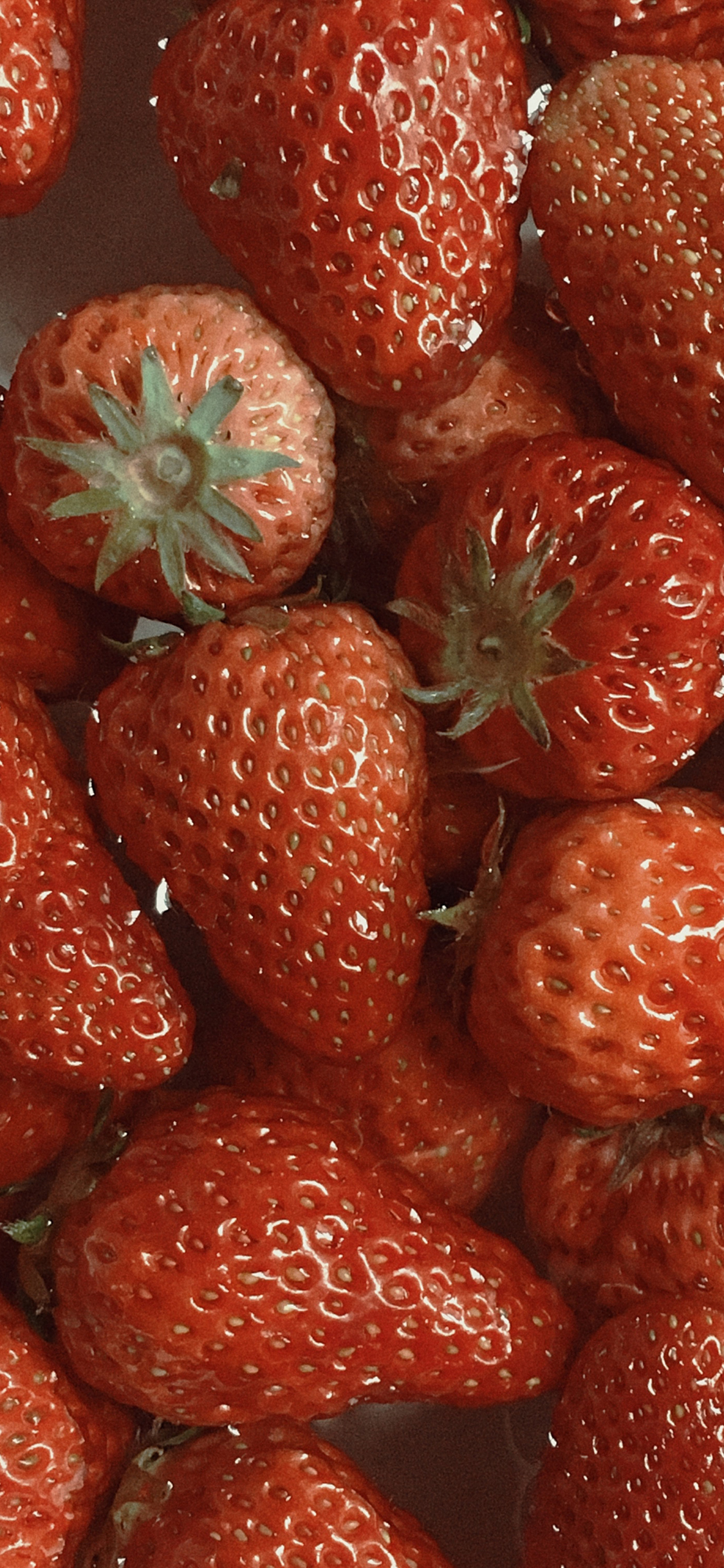 红红的草莓近照摄影手机壁纸图片