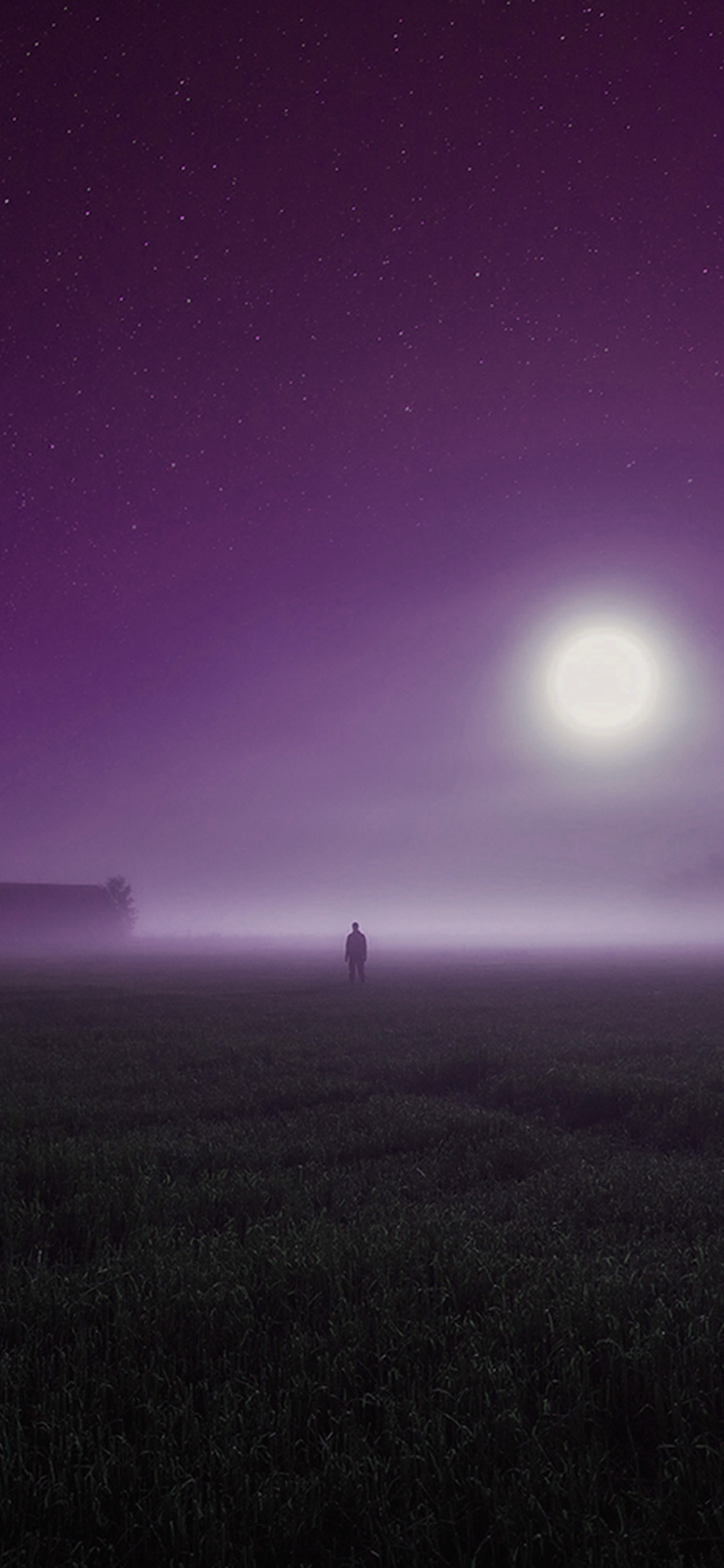 圆月下雾气笼罩站在草地上的人的手机壁纸图片