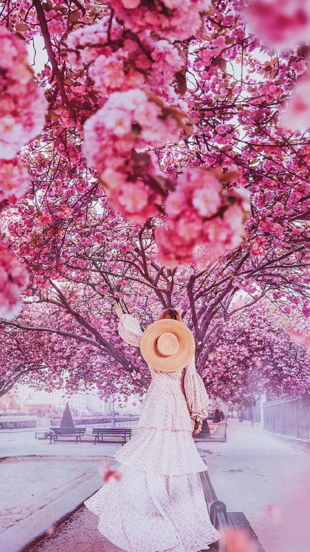 樱花树下的翩翩少女唯美写真