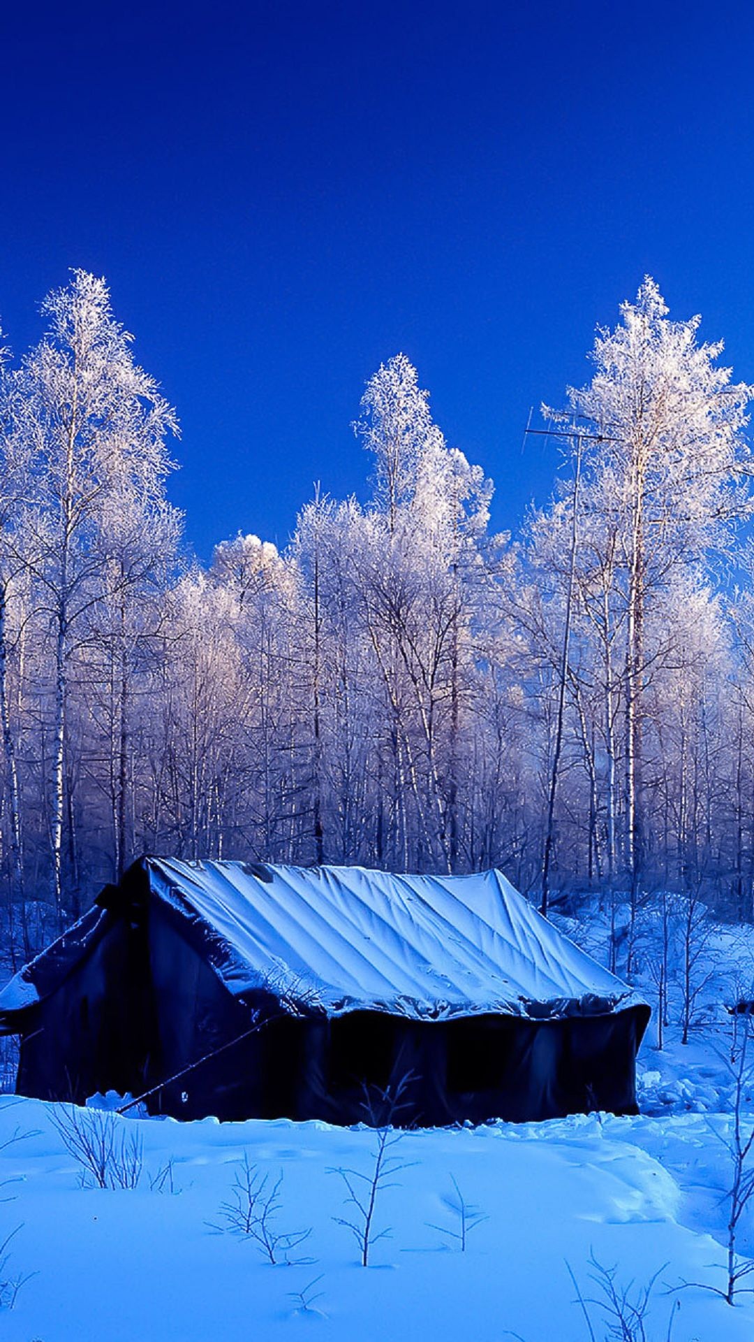 唯美雪景帐篷风光