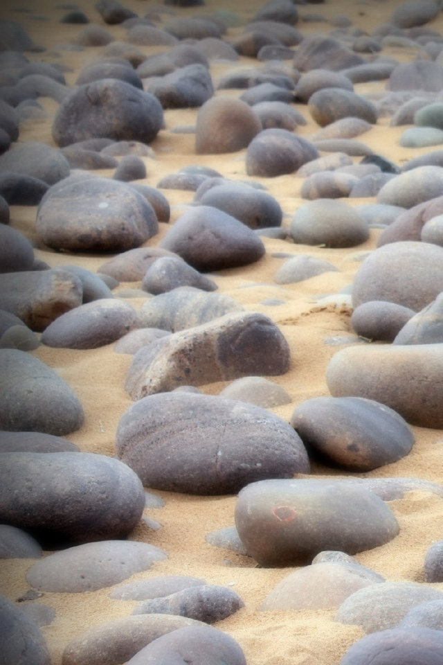 沙滩上的石头