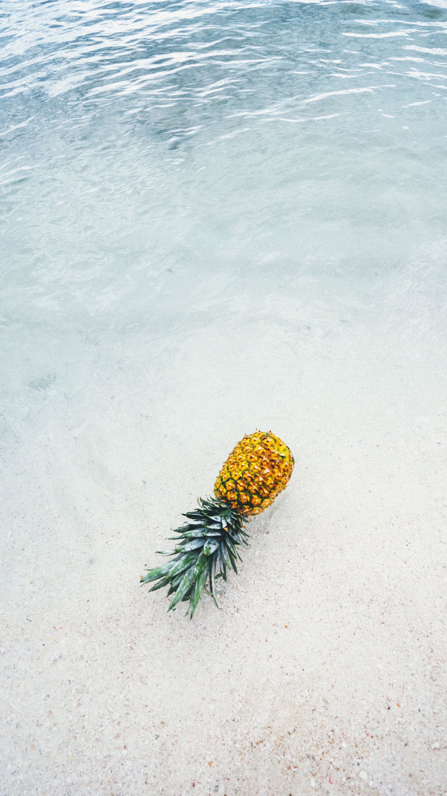 一个菠萝在海滩上