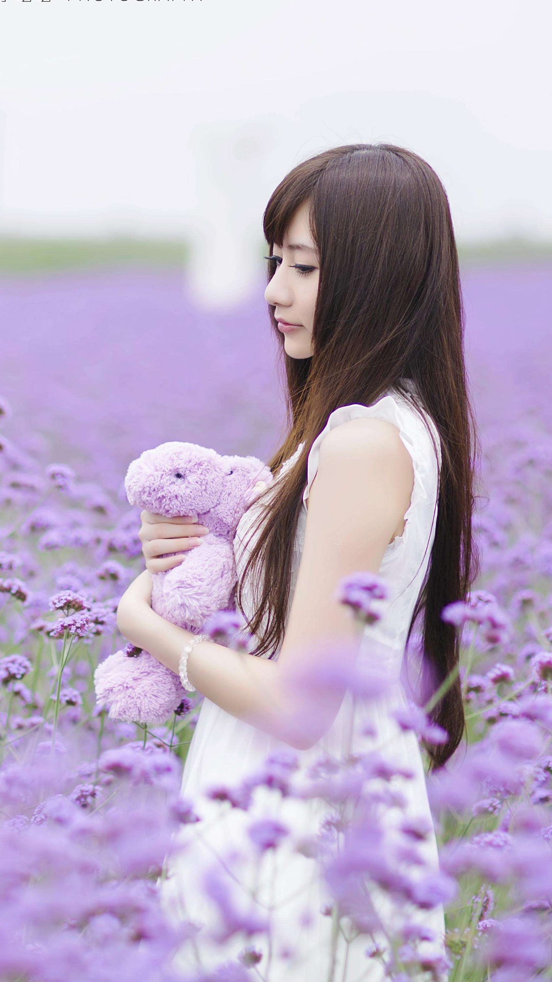 紫色花季