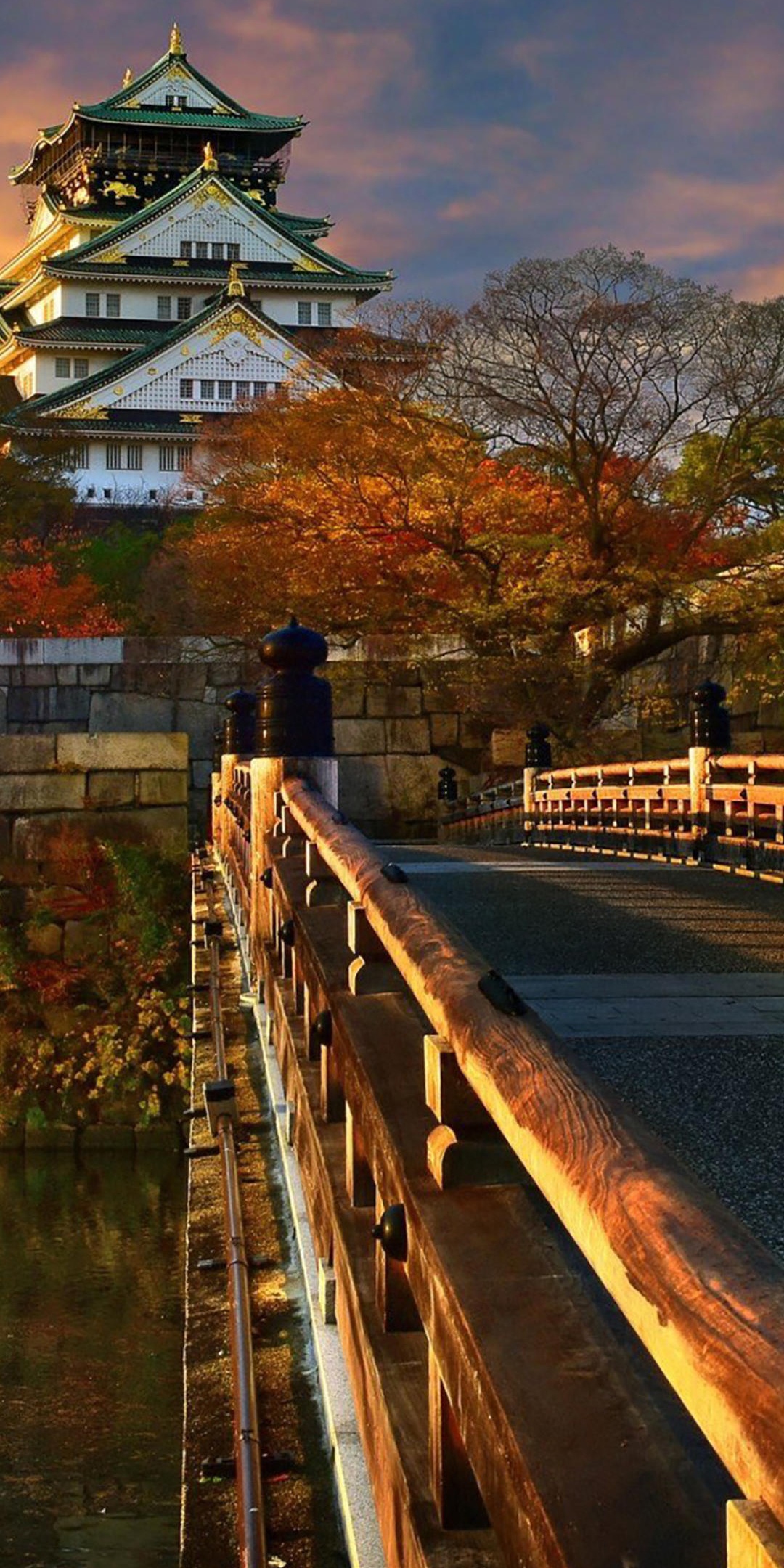 秋天的日本传统建筑