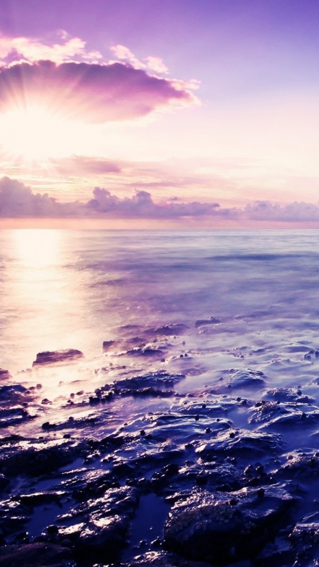海岸日出紫色色调