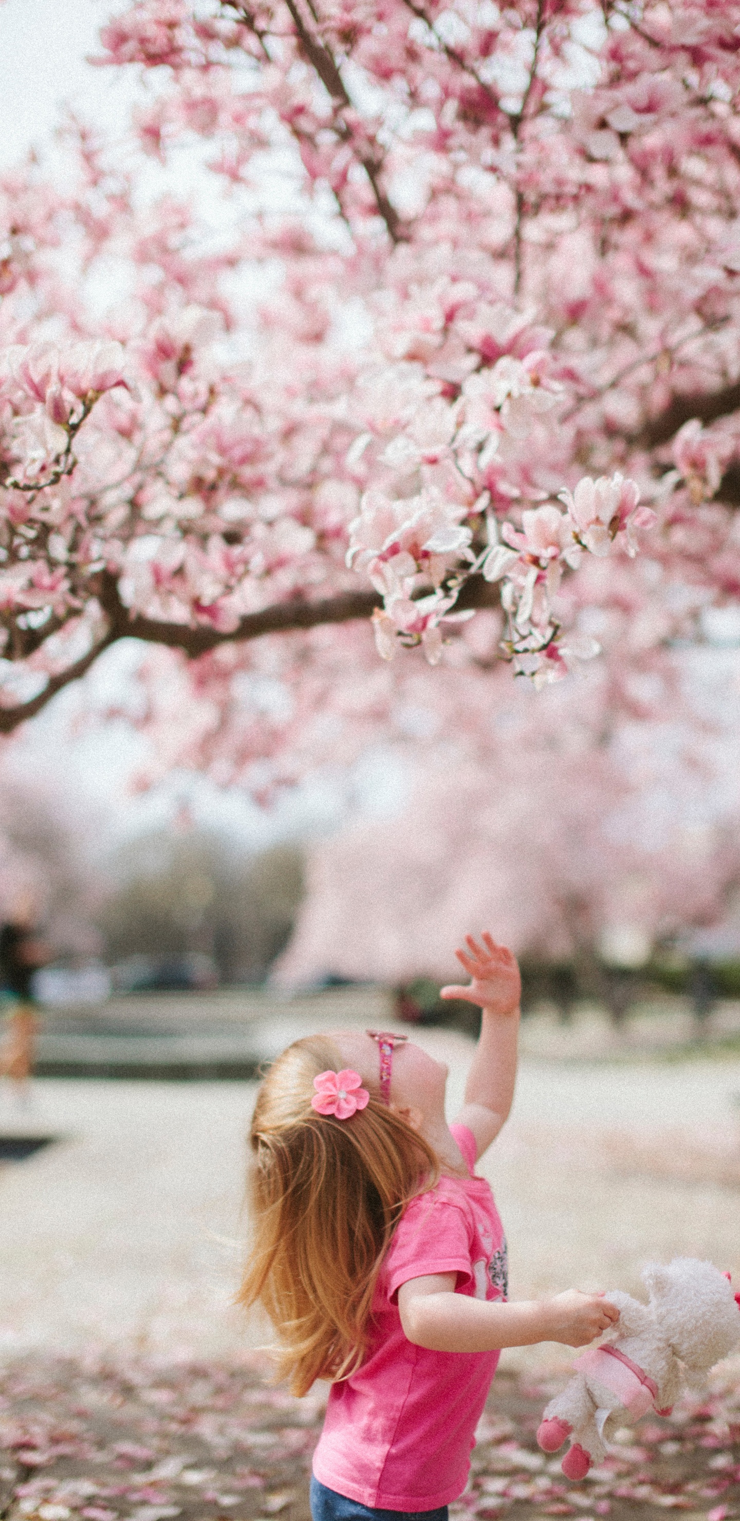 桃花树下的小女孩