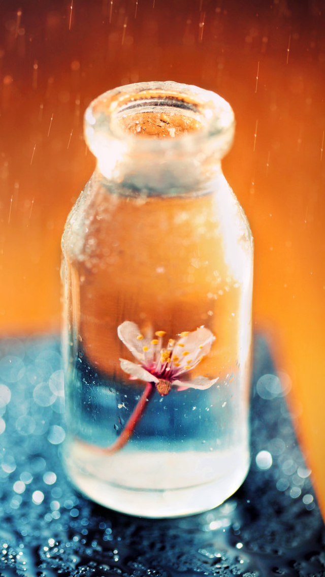 在一个玻璃瓶子的花
