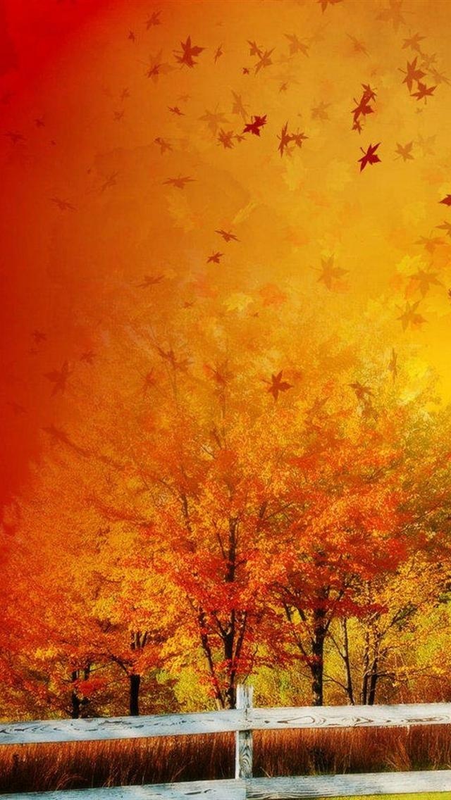 美丽的秋叶飘扬