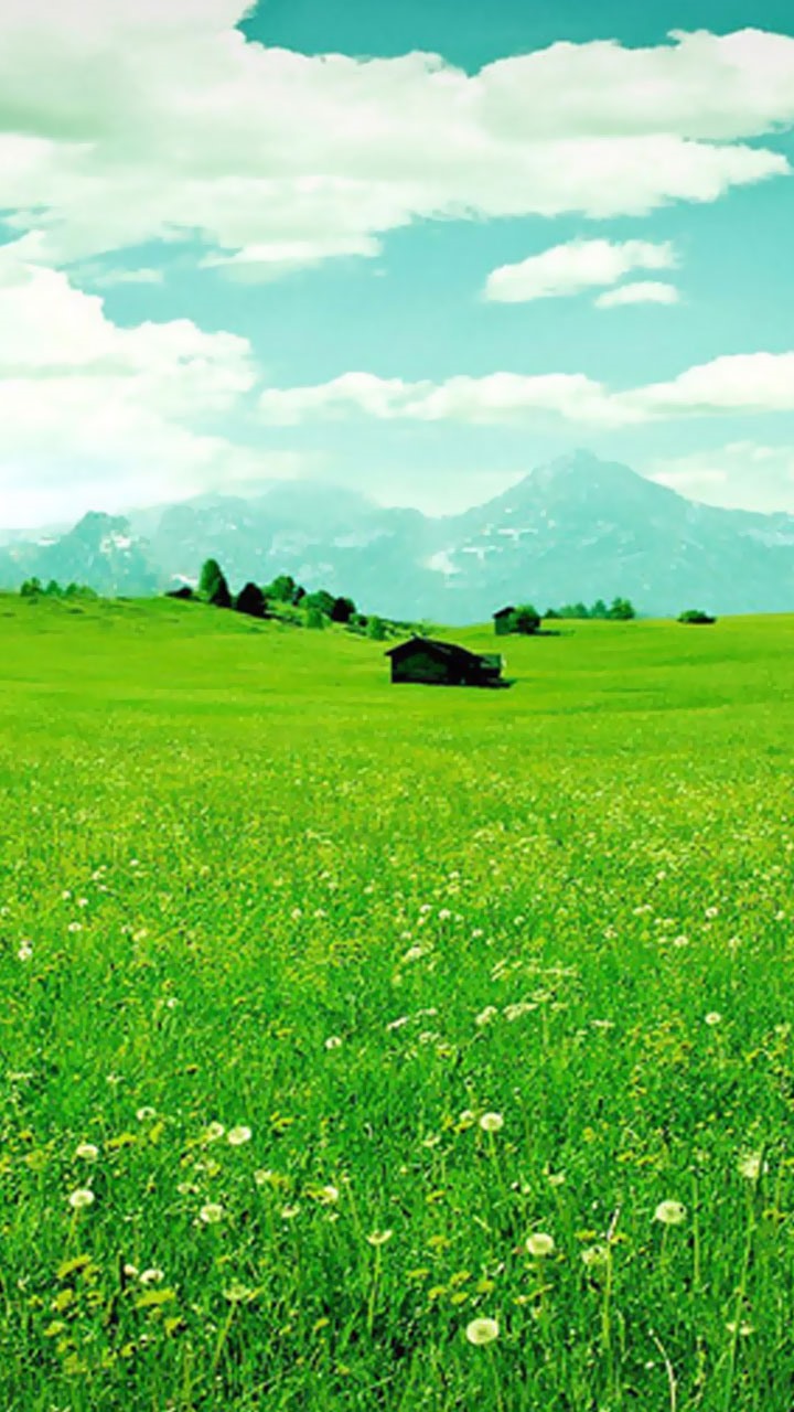 美丽天堂草原