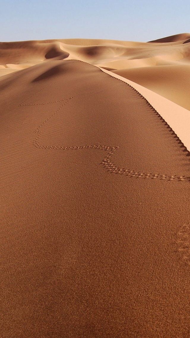 无尽的沙漠沙丘轨道
