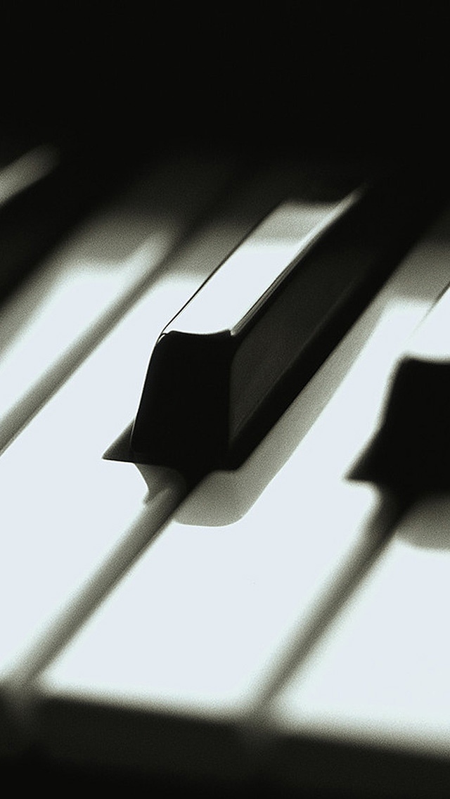 黑白钢琴键关闭了特写