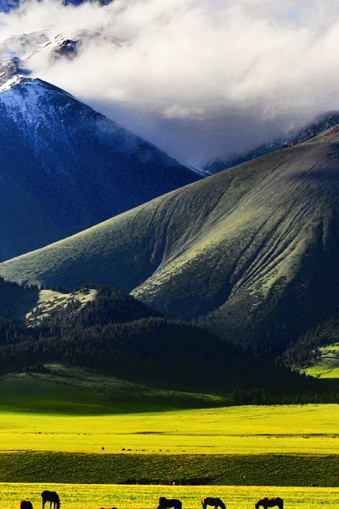 新疆草原风景图