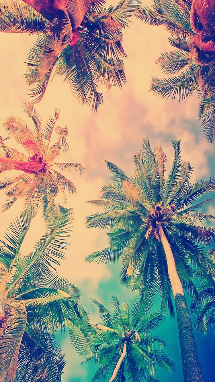 虚幻色彩椰子树