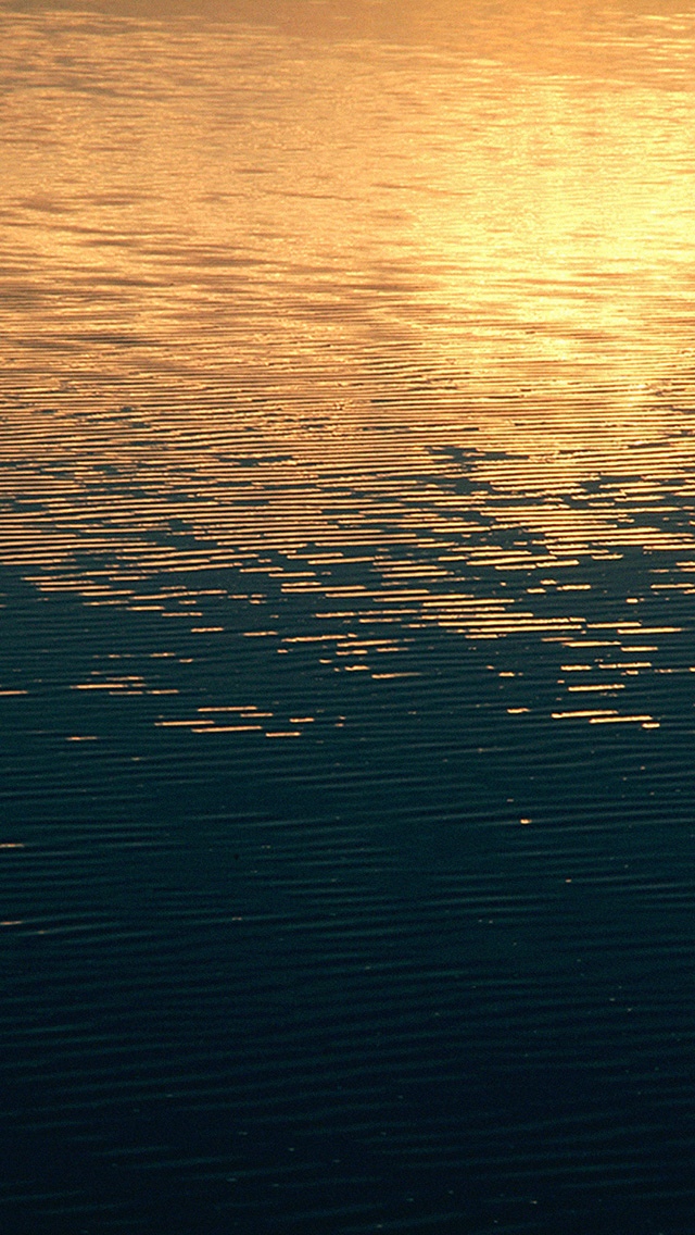 日落反射在池塘波浪上