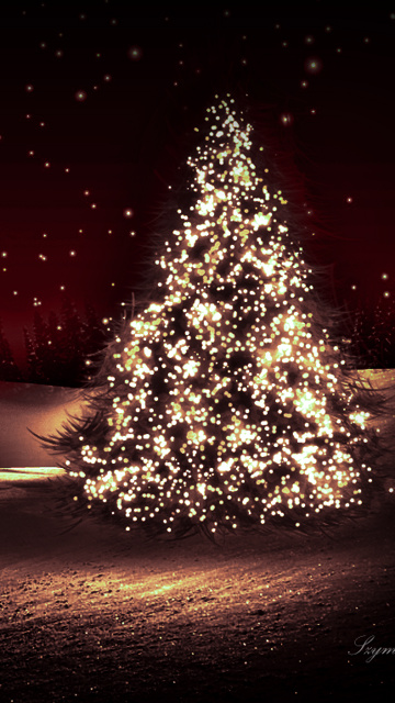 璀璨圣诞树