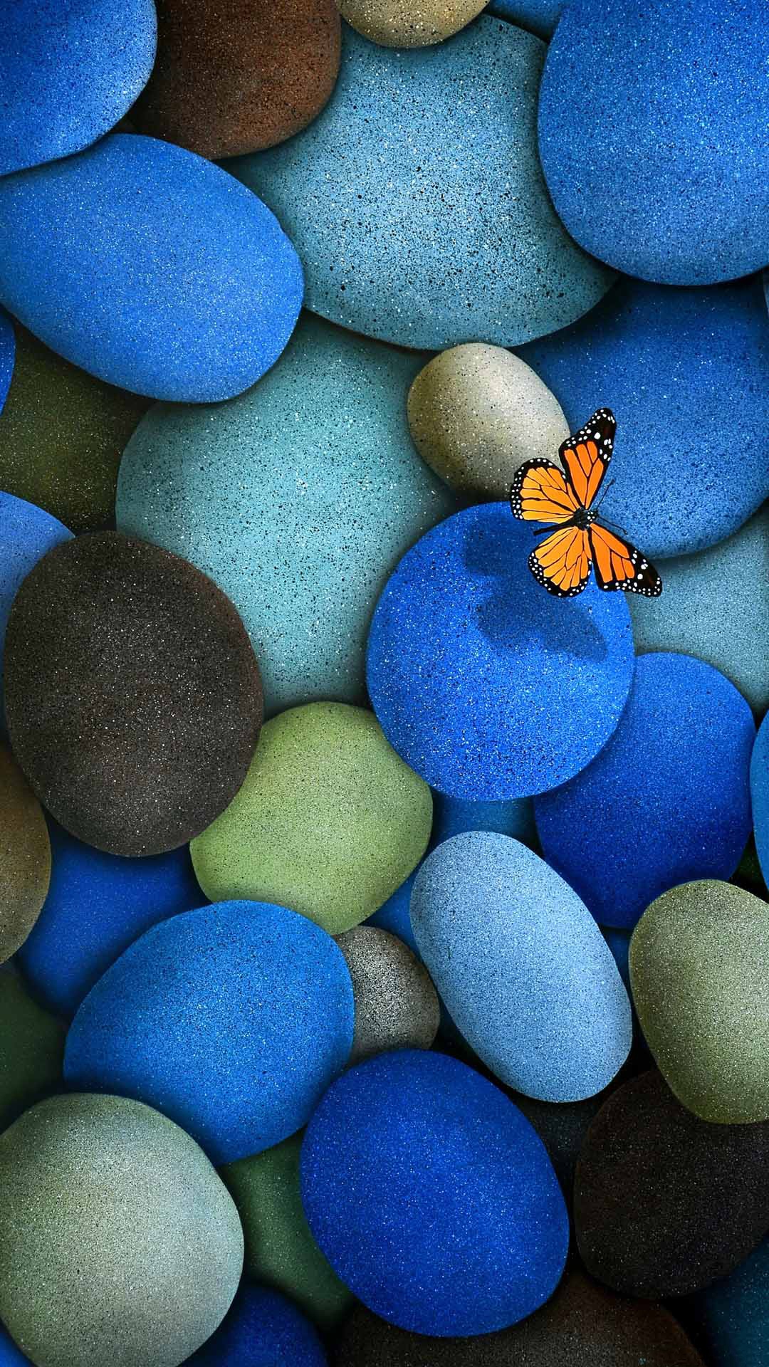 蓝色鹅卵石橙色蝴蝶