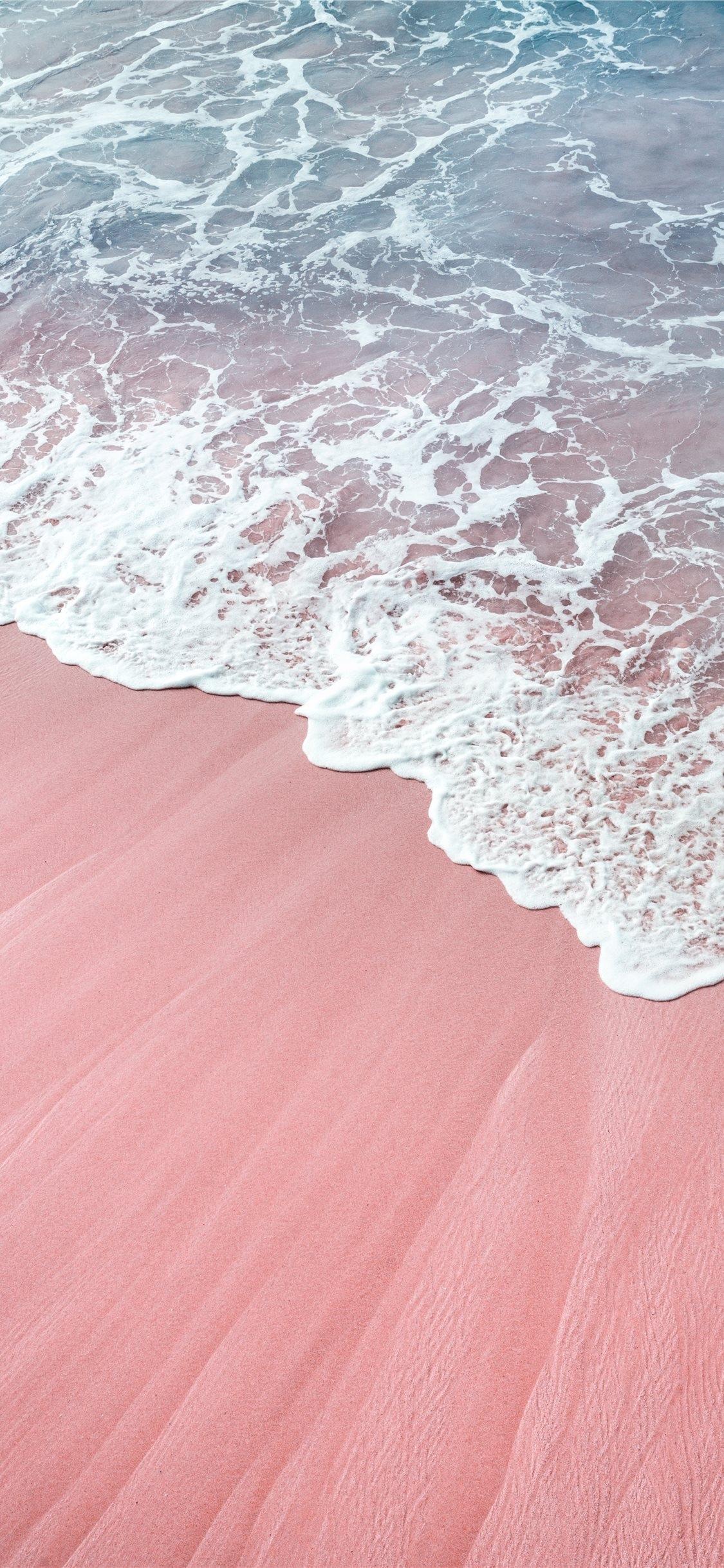 全球最有特色的沙滩之一粉色沙滩