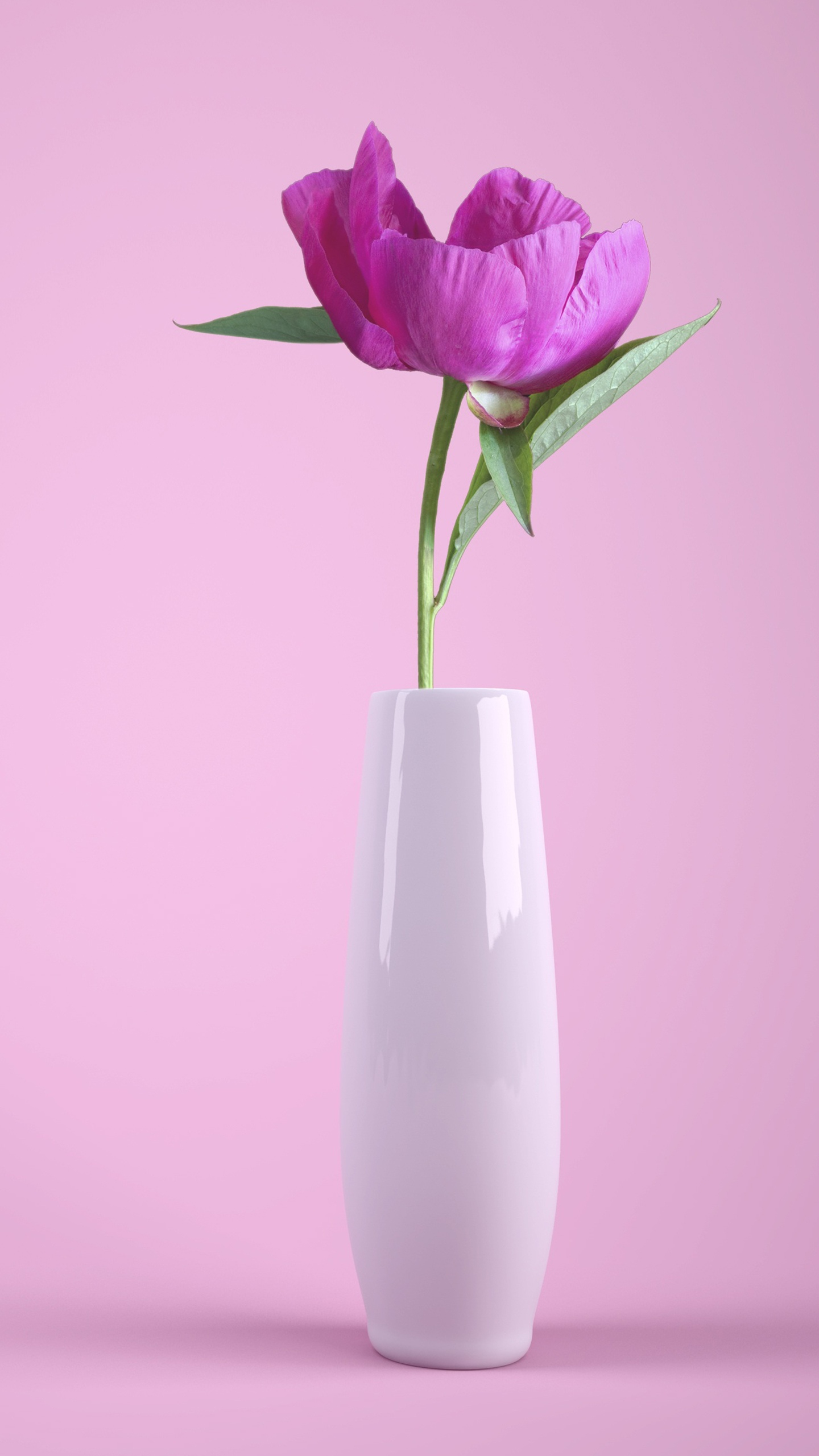 花瓶是和谐的象征