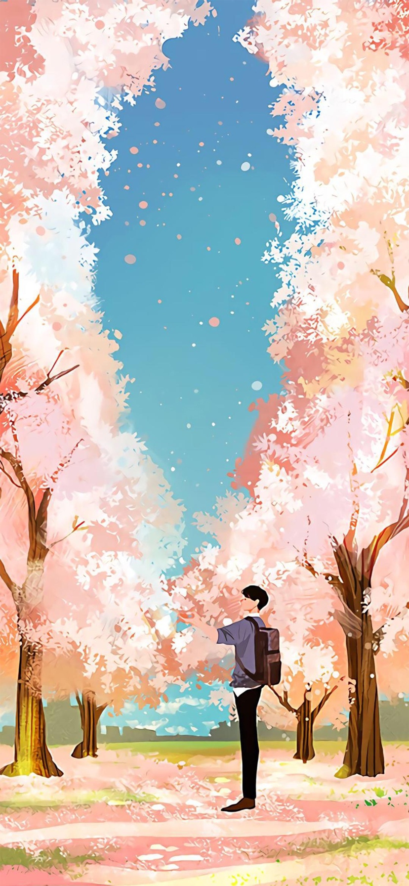 我在樱花树下等你