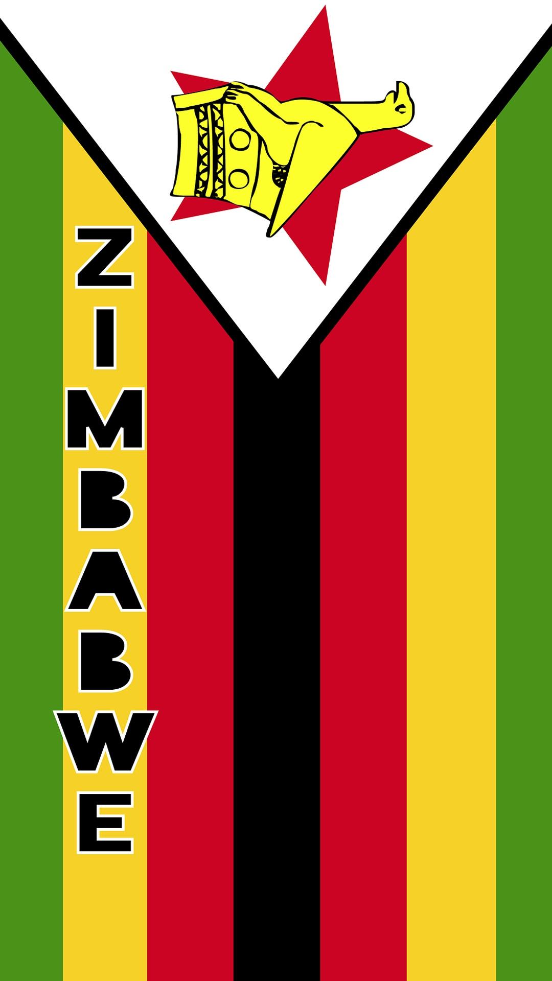 2020东京奥运会津巴布韦国旗