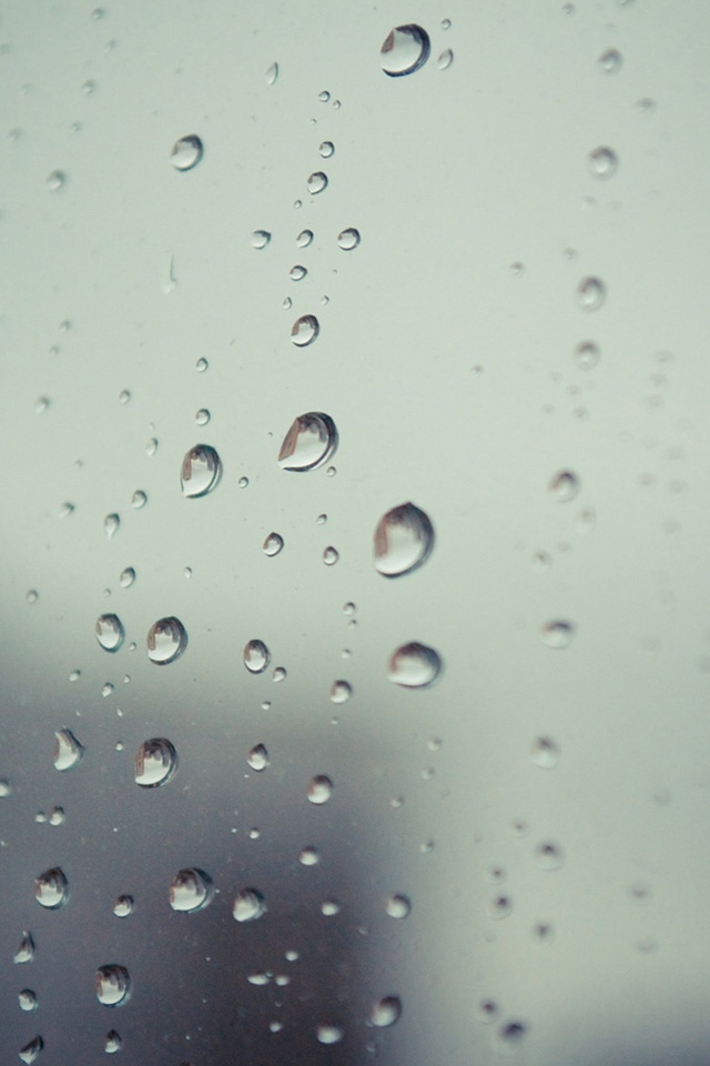 雨打湿窗