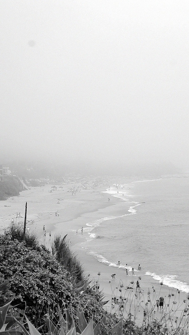 黑白海滩岸顶视图