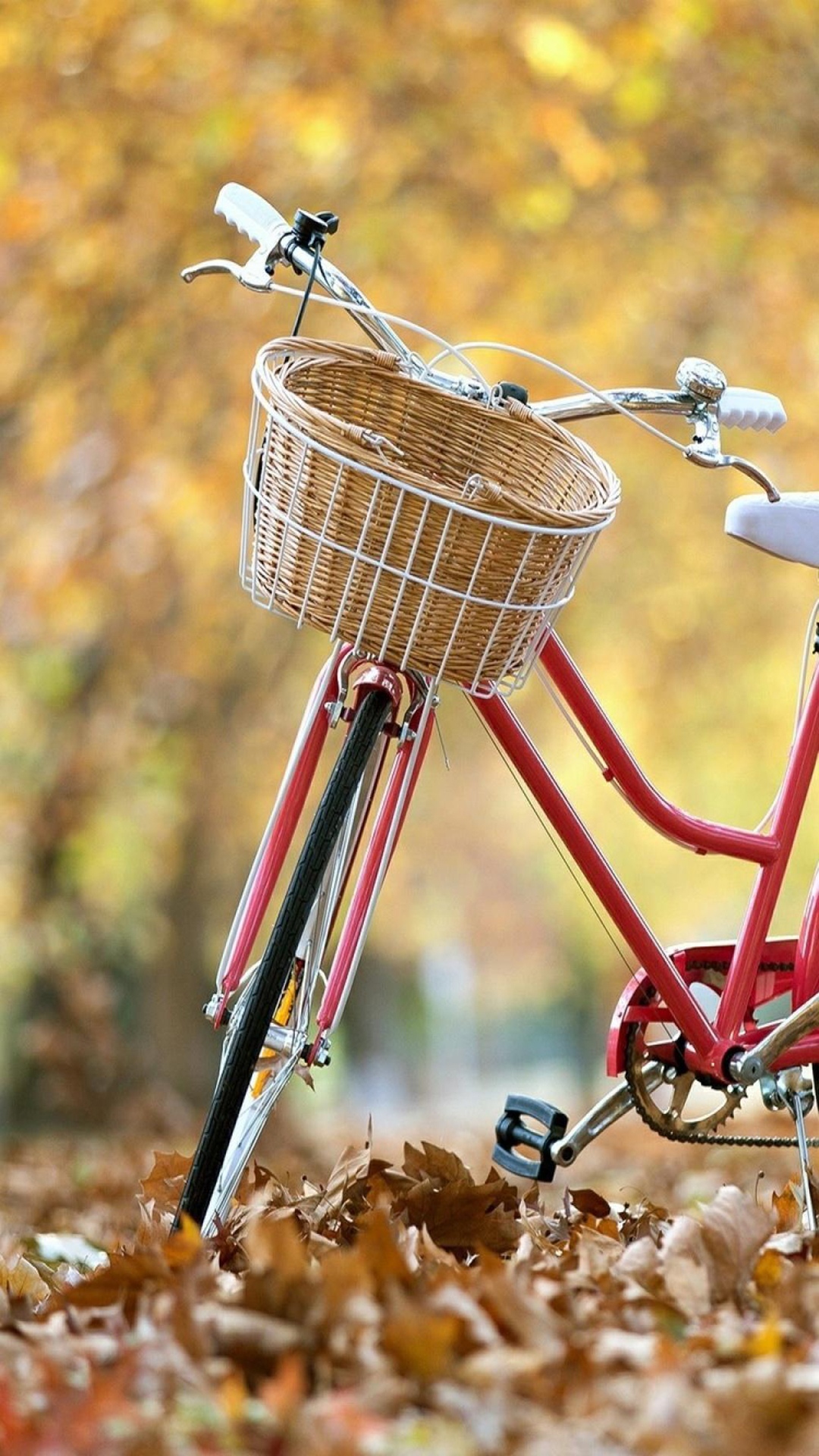 秋季景观红色自行车