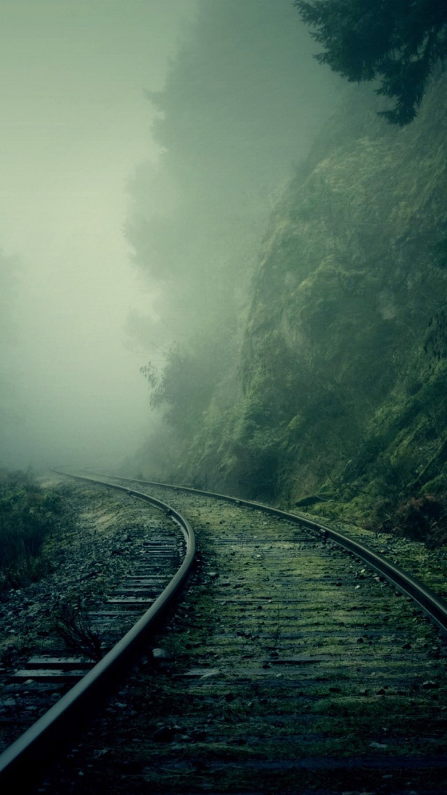 有雾的森林火车轨道