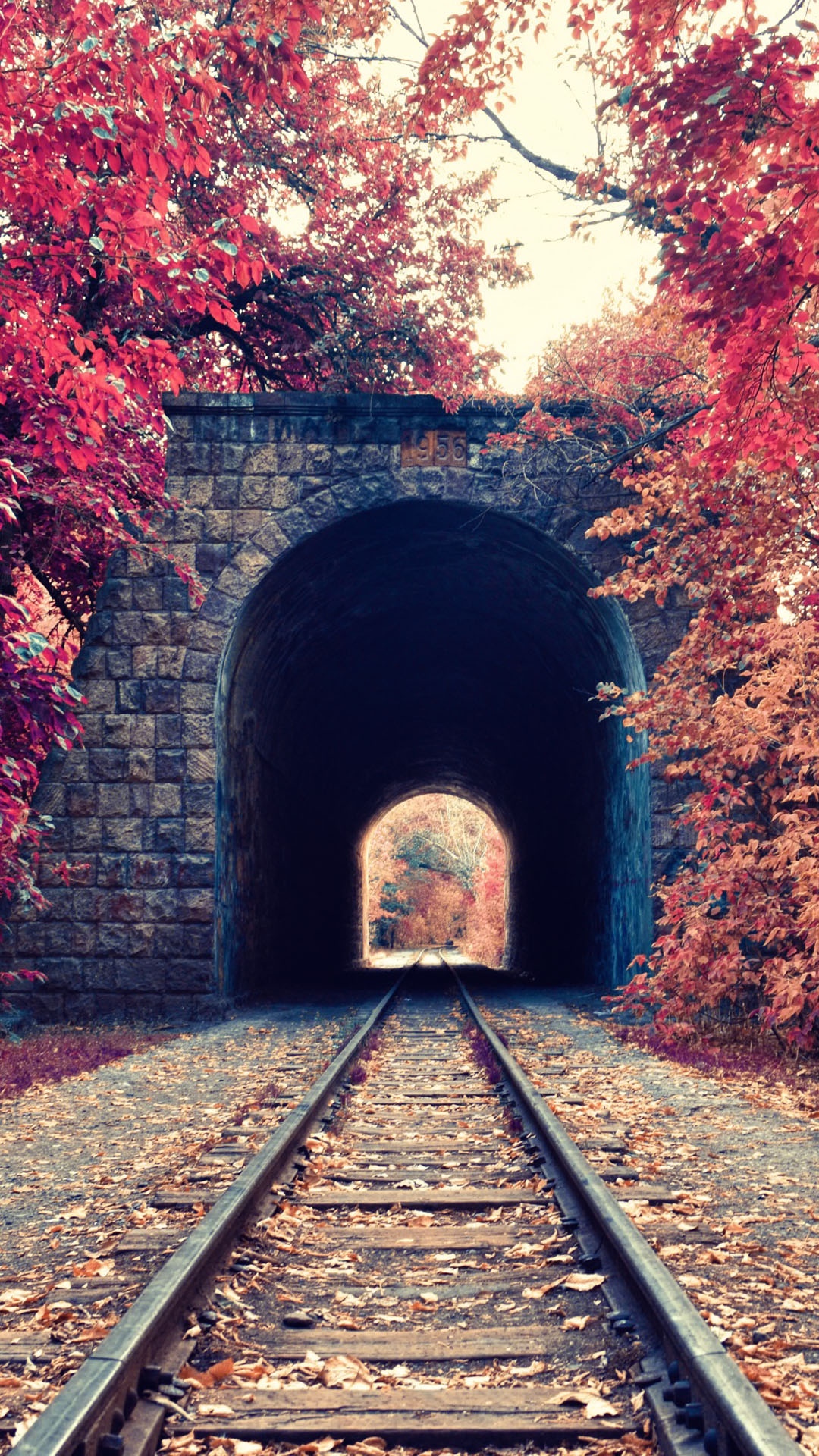 秋天火车隧道红色叶子