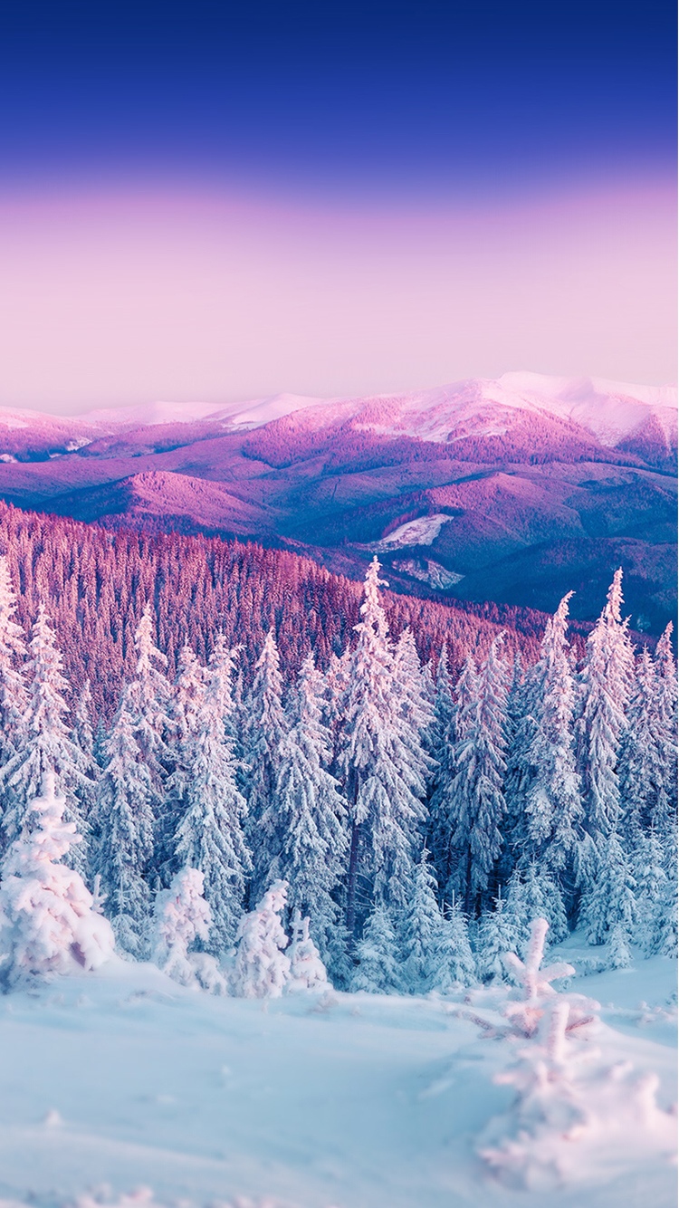 冬季紫色山景