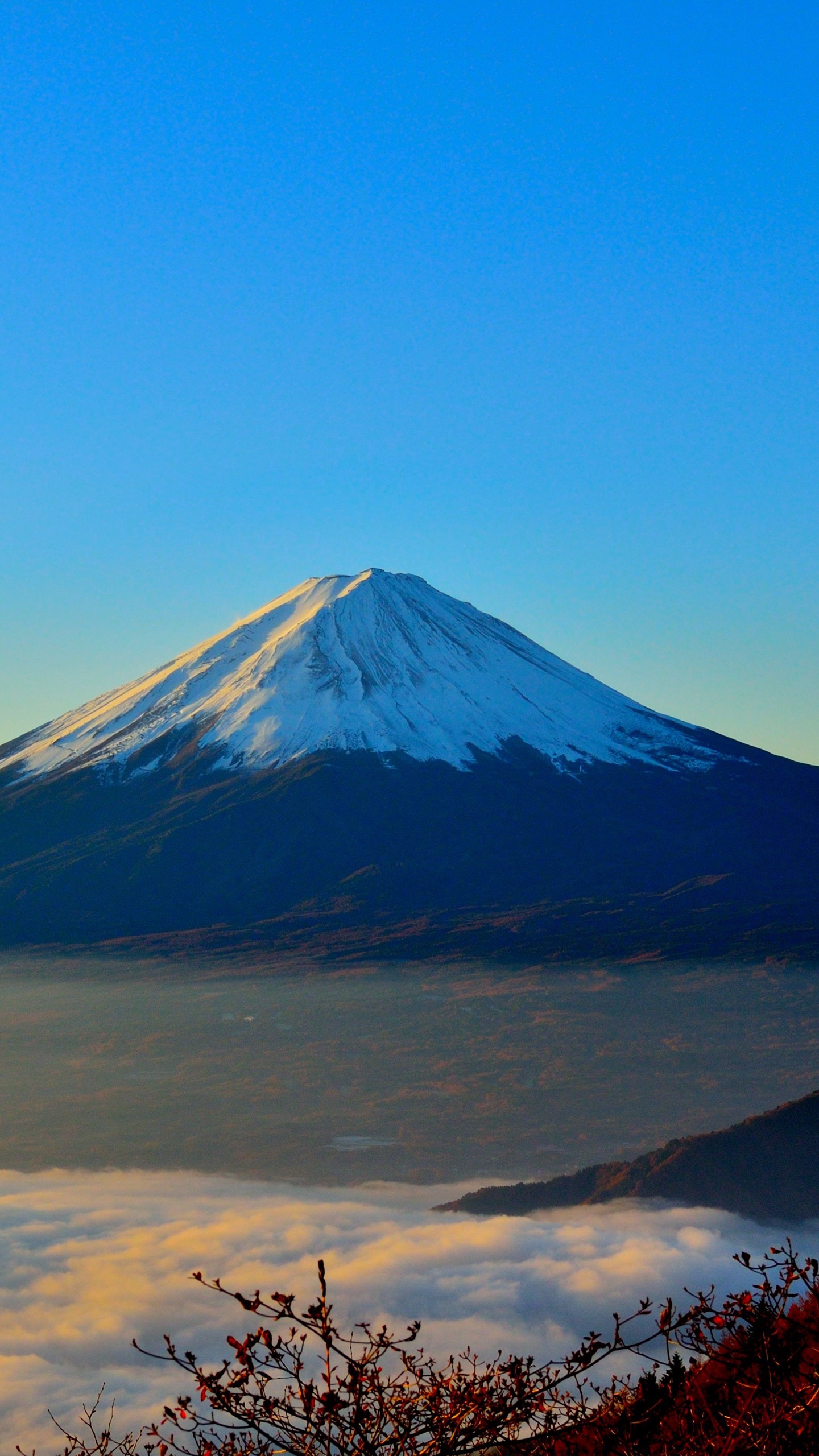 日本著名的富士山