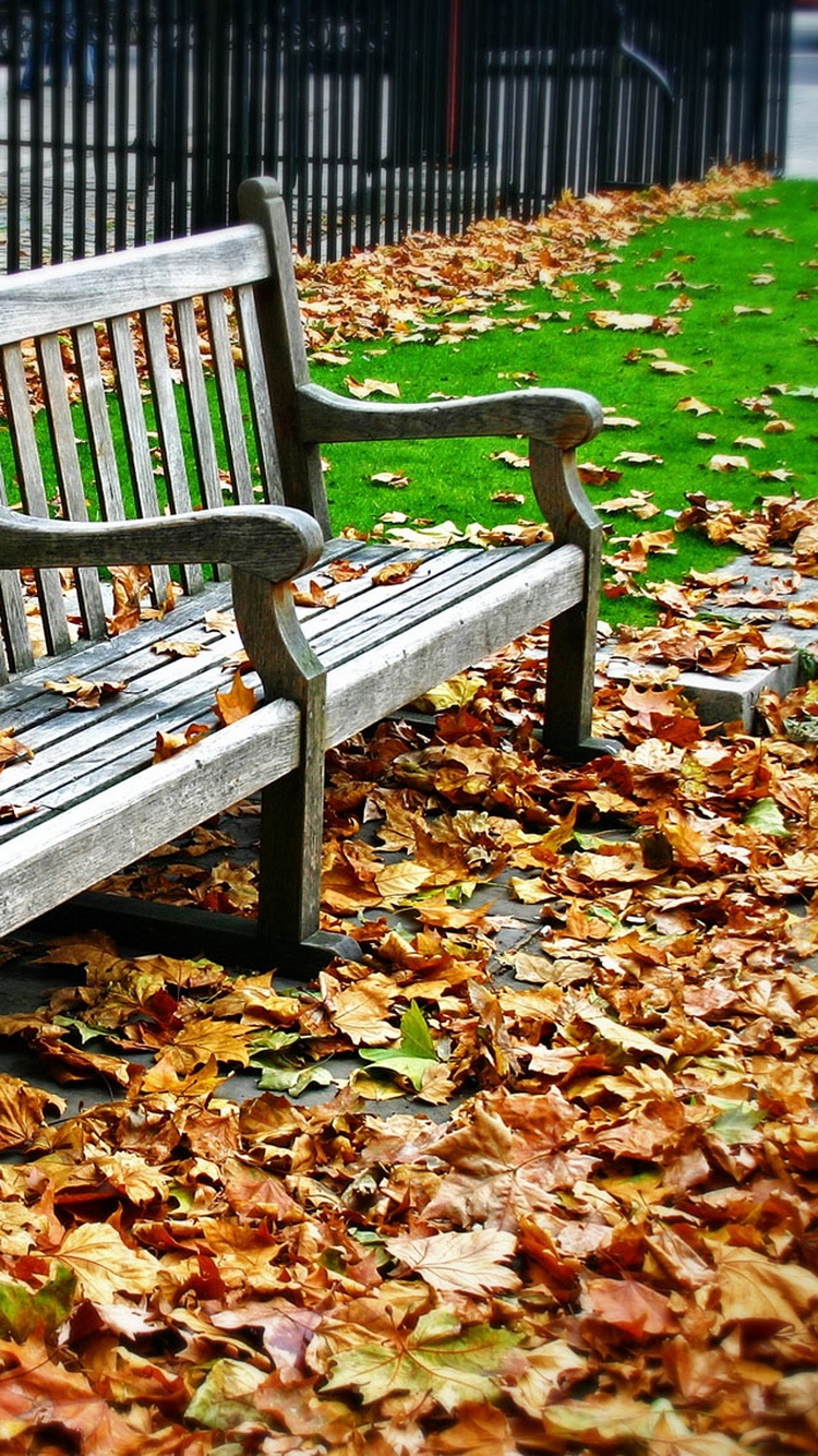 秋天长凳上的叶子