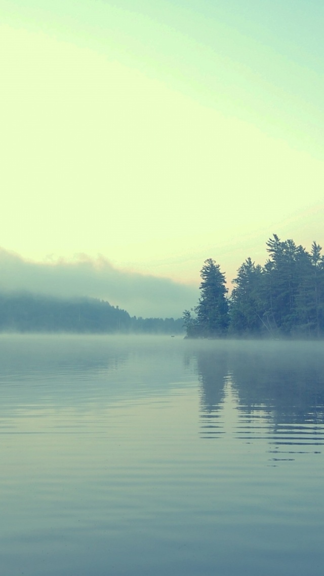 柔和的湖雾
