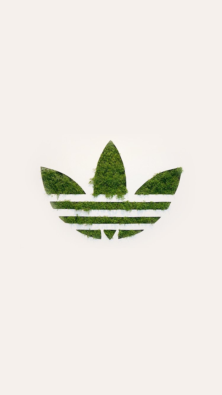 Adidas绿色三叶草