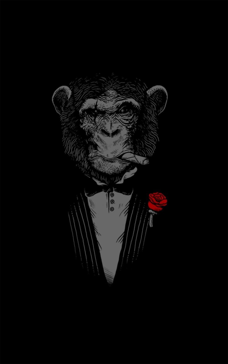 黑猩猩雪茄红玫瑰