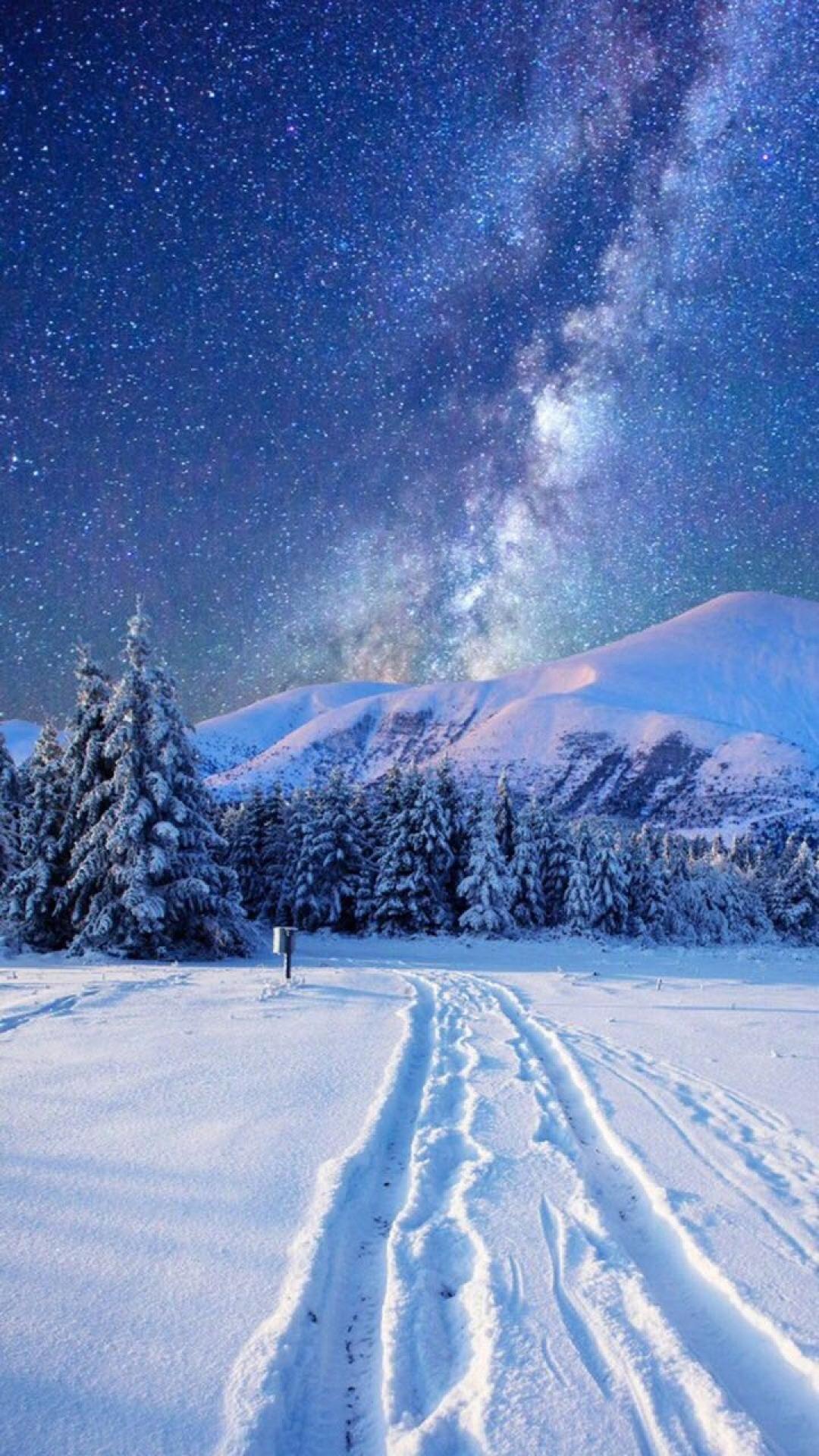 冬日夜空下的唯美雪景