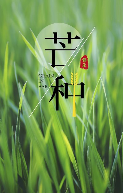 中国传统二十四节气芒种