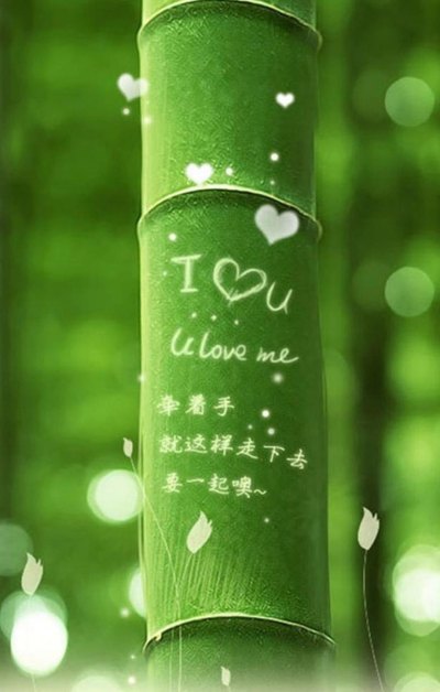 我爱你绿竹