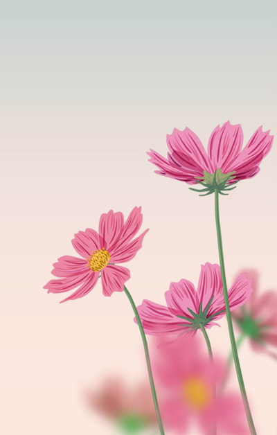 浪漫粉色花朵