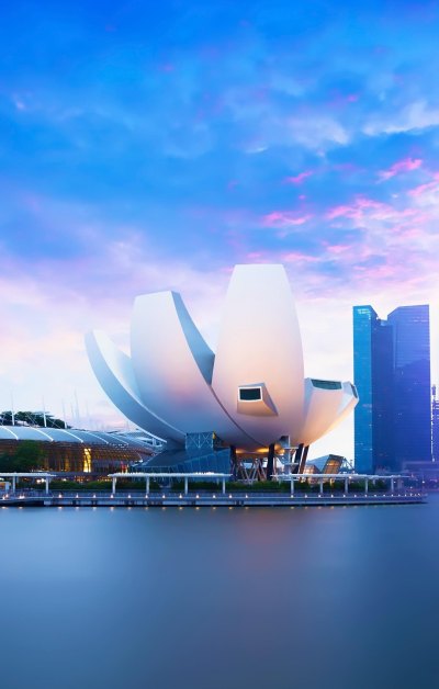 新加坡艺术科学博物馆