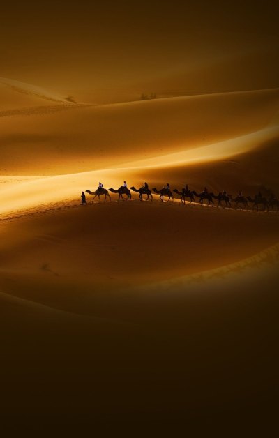 沙漠骆驼旅行唯美日落