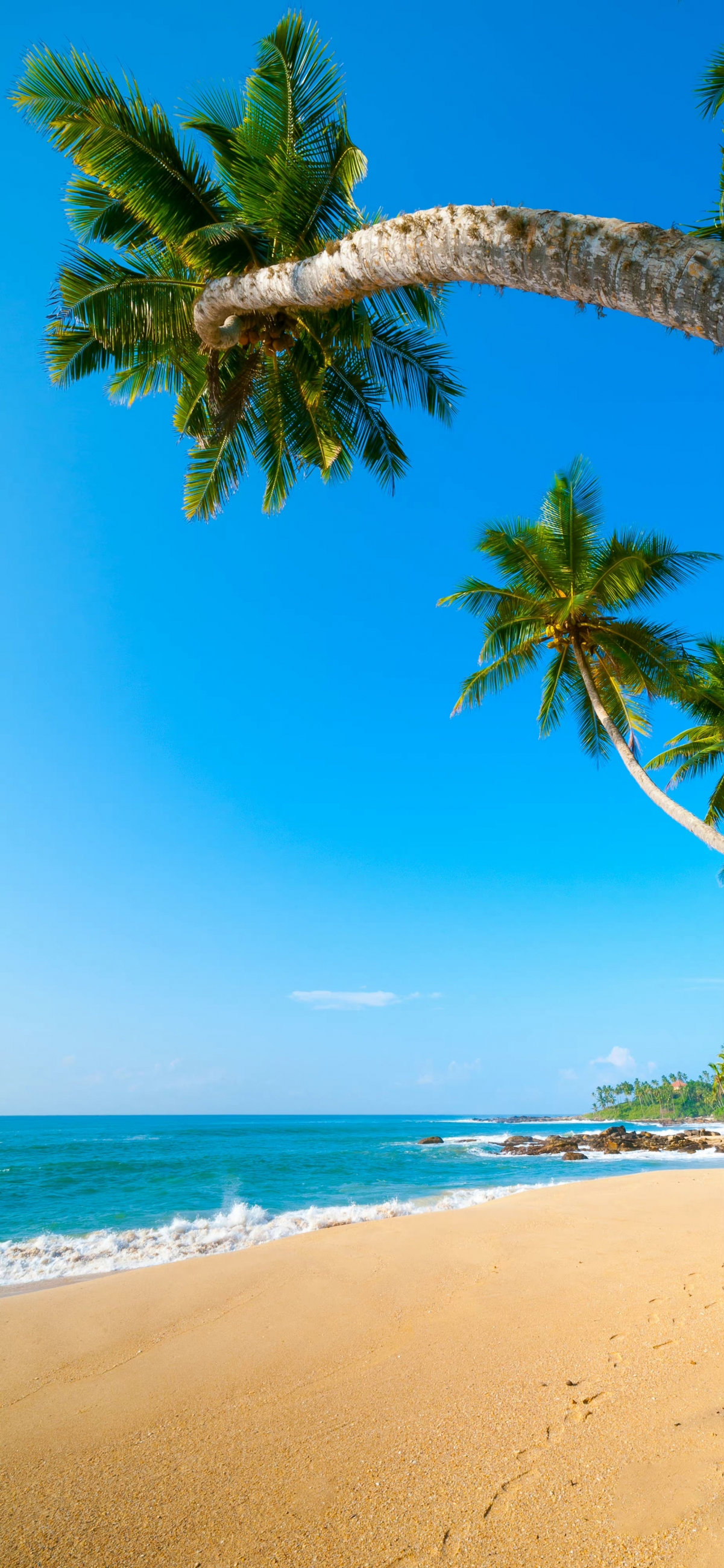 大海 沙滩 椰树 高清 4k 全屏风景手机壁纸